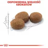 Royal Canin Sterilised pienso para gatos, 4 kg
