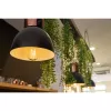 Bombilla inteligente Shelly Vintage ST64 Wi-Fi transparente 230 V