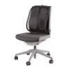 Fellowes Soporte lumbar para silla de oficina - Office Suites soporte lumbar de malla - Al51,28 x An43,97 x Prof14,13 cm