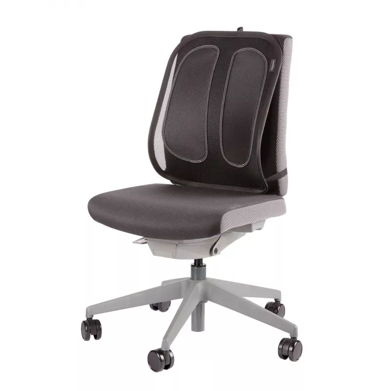 Fellowes Soporte lumbar para silla de oficina - Office Suites soporte lumbar de malla - Al51,28 x An43,97 x Prof14,13 cm