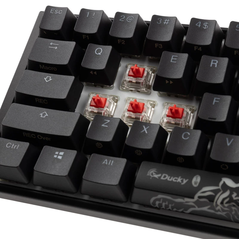 Ducky DKON2167ST-RUSPDCLAWSC1 Producto Negro