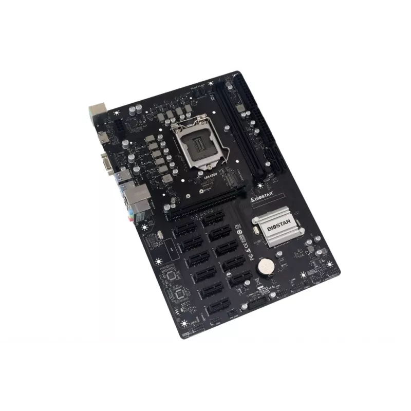 BIOSTAR TB560-BTC PRO Placa base