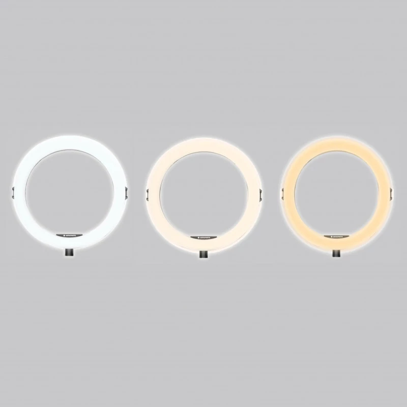Agfa Arl11 Ring Light anillo LED 120 Vlog + trípode + mando a distancia