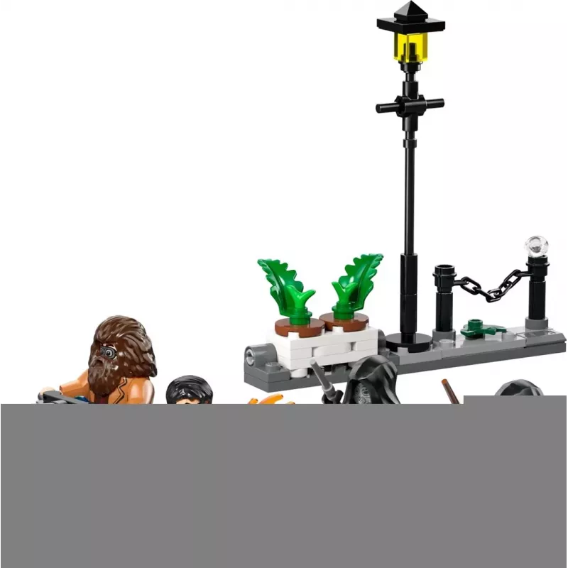 LEGO HARRY POTTER 76459 Hagrid y la huida de Harry de Privet Drive