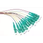 Conector de fibra óptica LogiLink FL3LC02 LC multicolor (FL3LC02)