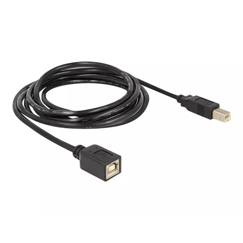 Cable USB DeLOCK USB2.0-B 2 m USB B negro