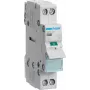 Interruptor de desconexión SBM216 bipolar 16A con lámpara indicadora (SBM216)
