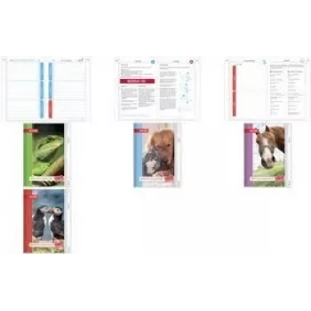 Cuaderno ROTH Papageientaucher A5 rayado 104 hojas — ROTH 89511