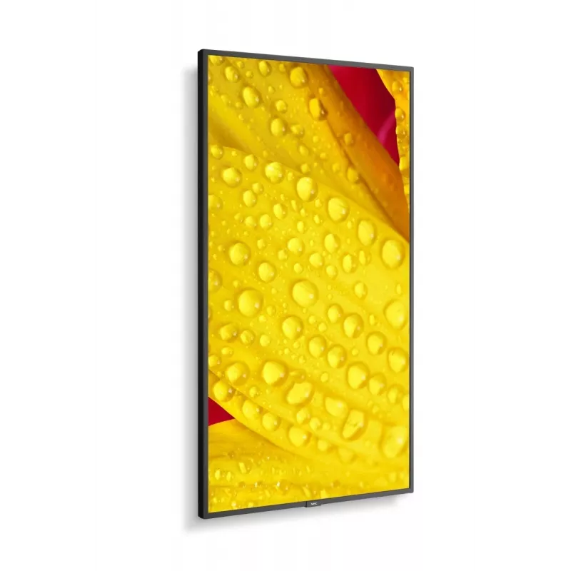 NEC MultiSync M651-2 diseño kiosco 165,1 cm (65
