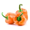 PNOS pimiento Etiuda semillas de hortalizas, 0,5 g