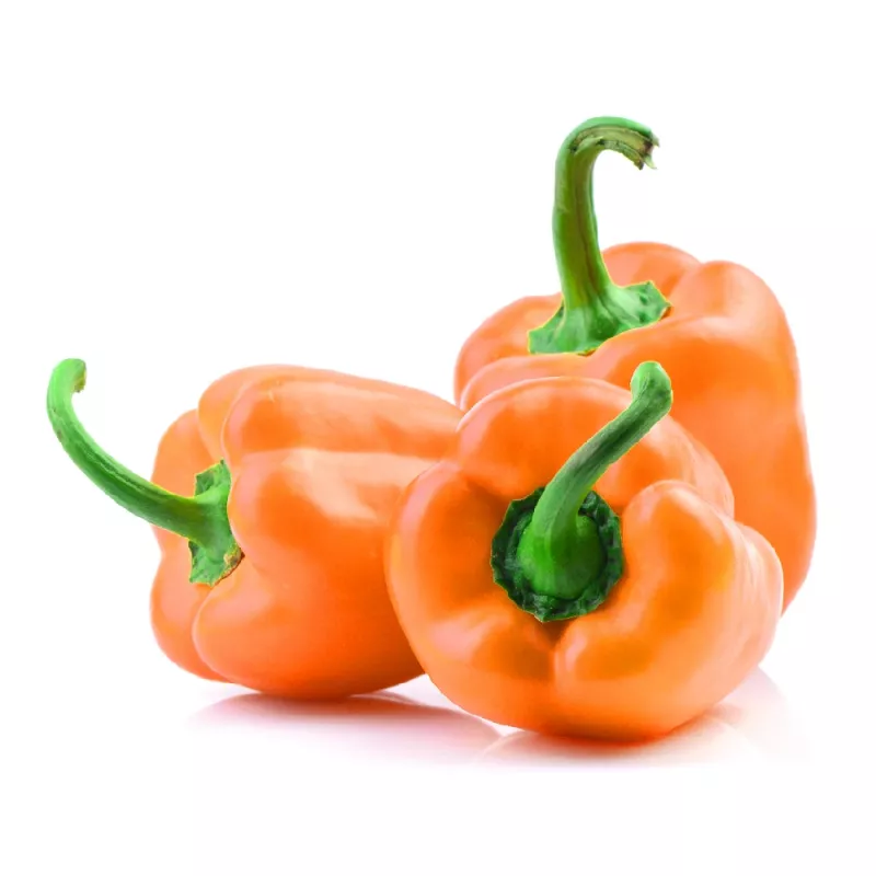 PNOS pimiento Etiuda semillas de hortalizas, 0,5 g