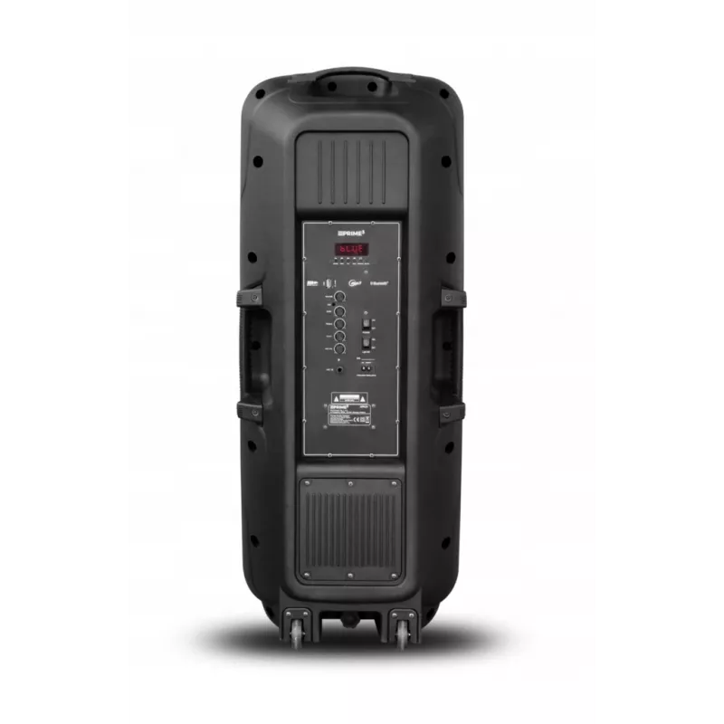 Altavoz portátil APA24 Bluetooth Karaoke, negro