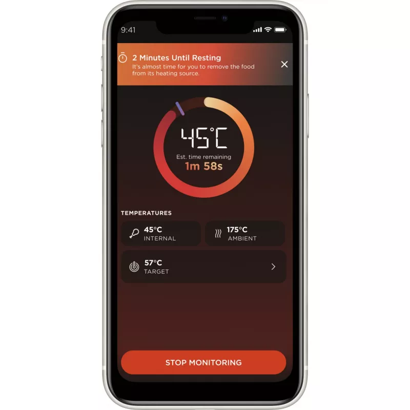 Termómetro de alimentos Ninja WP100EU