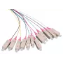 Cable InfiniBand/fibra óptica LOGON LFP035 2 m 12x SC multicolor (LFP035)