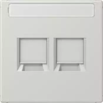 Placa embellecedora Jung LS1969-2NAWELG para MJ 2f NA WE (AMP Rad.) (LS1969-2NAWELG)