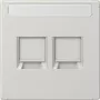 Placa embellecedora Jung LS1969-2NAWELG para MJ 2f NA WE (AMP Rad.) (LS1969-2NAWELG)