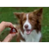 GELOREN Large dog Joints - Vitaminas para perros - 420g