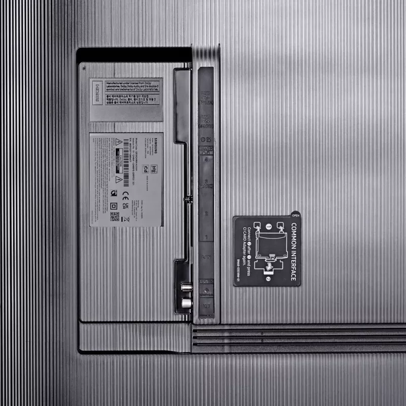 TV Samsung QE100QN80FUXXN 100