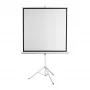 Pantalla de proyección SBOX PSMT-96-2, superficie de imagen 172 x 172 cm