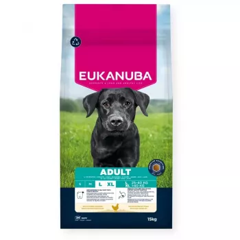 Pienso seco para perros EUKANUBA Adult Large Chicken 15 kg — pienso seco para perros adultos de razas grandes, pollo, 15 kg