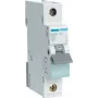 Hager MBN150. Número de polos: 1P. Frecuencia de entrada AC: 50/60 Hz, Corriente nominal de salida: 50 A (MBN150)
