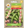 Semillas de hortalizas judía Crimson Toraf, paquete de 30g