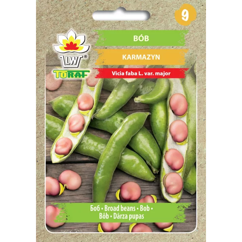 Semillas de hortalizas judía Crimson Toraf, paquete de 30g