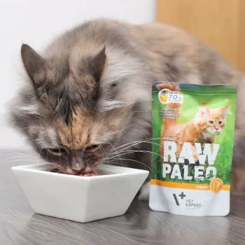 Comida húmeda para gatos VETEXPERT Raw Paleo Adult Cat pavo 100 g - sin cereales, 10,3 % proteína, 5,3 % grasa, 79 % humedad