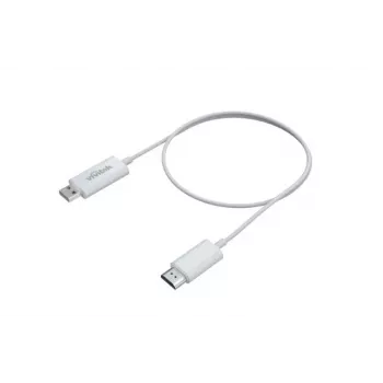 Adaptador inalámbrico Vivitek VWD-01 para proyectores – dongle USB compacto para transmisión de imagen inalámbrica