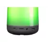 Altavoz mono portátil Denver BTL-311 multicolor