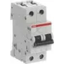 ABB STOTZ-KONTAKT Interruptor automático 10kA 6A B 2p S202M-B6UC (2CDS272061R0065)