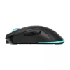 Ratón Baracuda BGM-121 Turtle negro USB