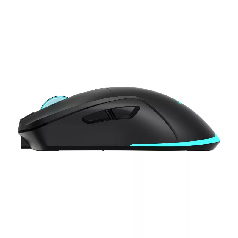 Ratón Baracuda BGM-121 Turtle negro USB