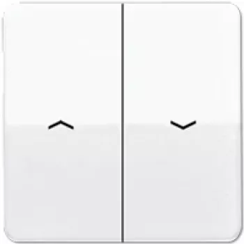 Tecla JUNG para persiana/táctil CD595PWW CD500 blanco alpino CD595PWW (CD595PWW)