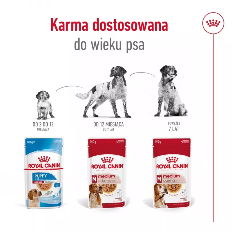 ROYAL CANIN SHN Medium Adult en salsa - Comida húmeda para perros adultos - 10x140g