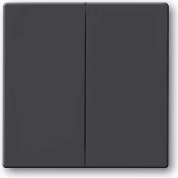 Busch-Jaeger 1751-0-2930. Control: botones, color del producto: antracita. Ancho: 63 mm, alto: 63 mm. Cantidad por paquete: 1 ud. (1751-0-2930)