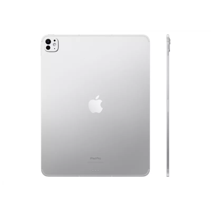 APPLE 33cm 13