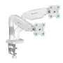 ONKRON G160-W Soporte de escritorio giratorio e inclinable para dos monitores de 13-32 pulgadas, hasta 8 kg, blanco
