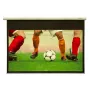 Pantalla de proyección motorizada Grandview FA-MI(2660X1663)WM5II(ADCW) – superficie de imagen 2660×1663 mm