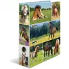 Archivador HERMA 19251 A4 multicolor con anillas D 285x315 mm