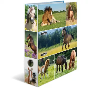 Archivador HERMA 19251 A4 multicolor con anillas D 285x315 mm