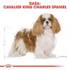 Comida seca para perros Royal Canin Cavalier King Charles Adult 1,5 kg — pollo, raza pequeña, piel y pelo, apoyo cardíaco