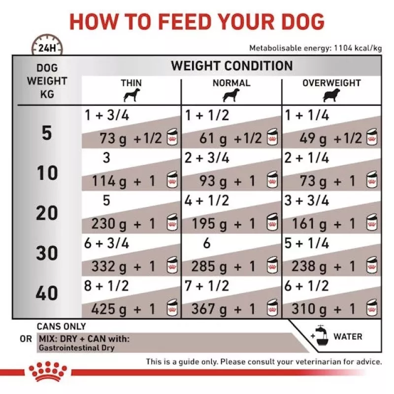 Alimento húmedo dietético Royal Canin Gastro Intestinal 200 g — perros adultos, ave, apoyo a la digestión