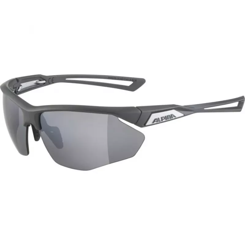 Gafas de sol Alpina Nylos HR Cat. 3 gris