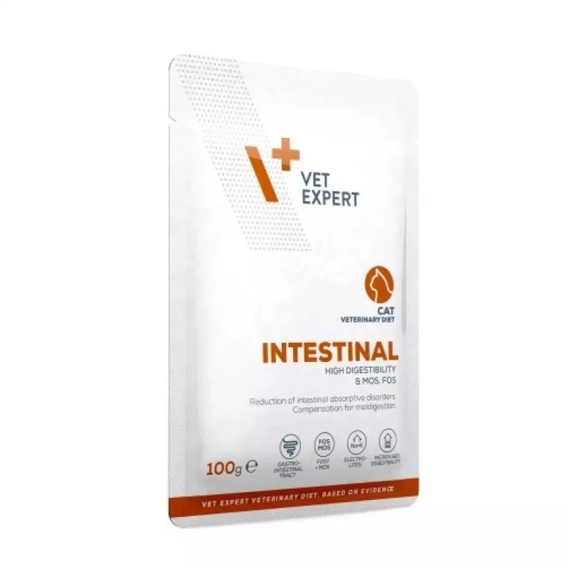 VetExpert Veterinary Diet Intestinal Cat comida húmeda para gatos 100 g