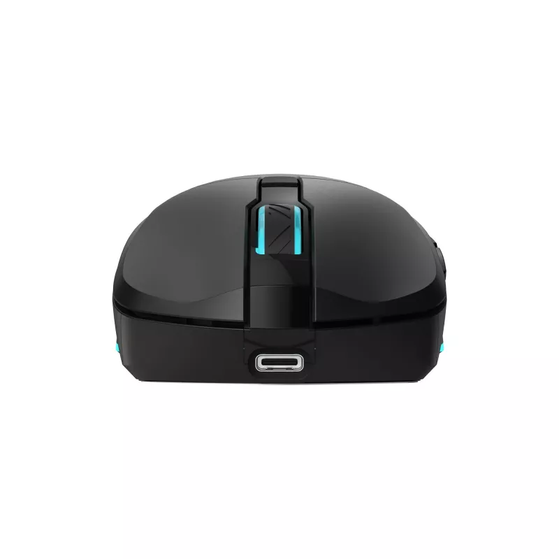 Ratón Baracuda BGM-121 Turtle negro USB