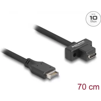 Cable USB DeLOCK Type-E Key A de 20 pines conector macho a conector hembra USB Type-C 70 cm