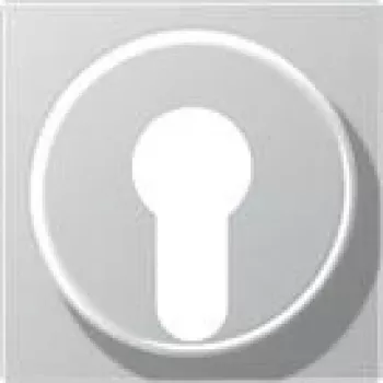 Jung Placa embellecedora aluminio para interruptor de tecla A 528 PL AL (A528PLAL)