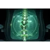 Silla gaming ergonómica Razer con Breathable Comfort | Iskur V2 NewGen | negro