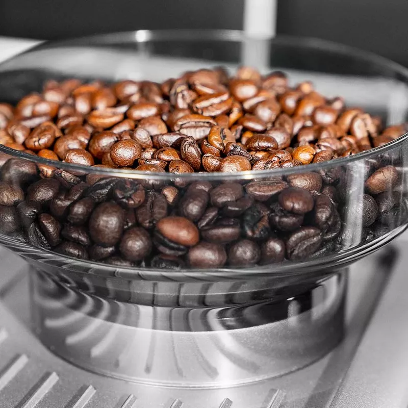 Cafetera expreso Gastroback 42625 1,5 L